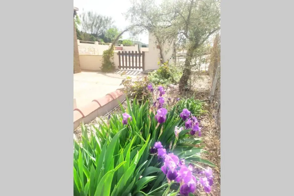 Holiday home Casa Rosa Sedella Spain